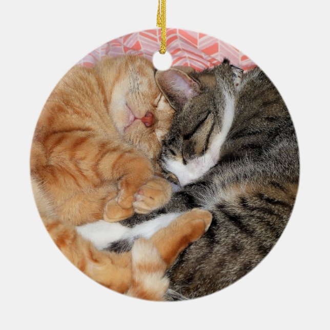 Nap Buddies Ceramic Ornament (Back)