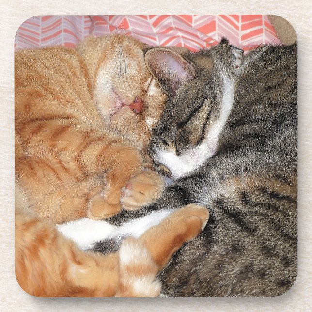 Nap Buddies Coaster (Front)