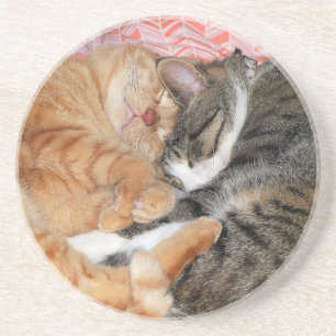 Nap Buddies Coaster