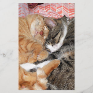 Nap Buddies Stationery