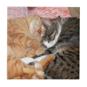 Nap Buddies Tile