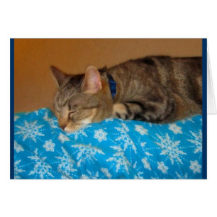 Nap Heure Pour Indigo