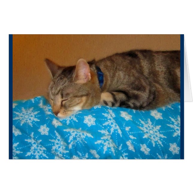 Nap Heure Pour Indigo (Devant horizontal)