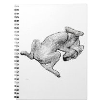 Nap Notes – Relaxed Dog Art Notebook