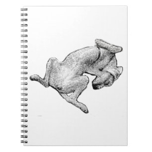 Nap Notes – Relaxed Dog Art Notebook