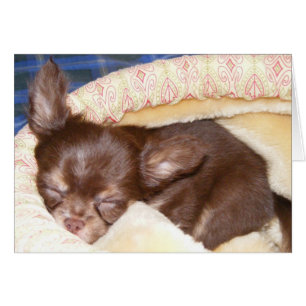 Nap Time - blank inside