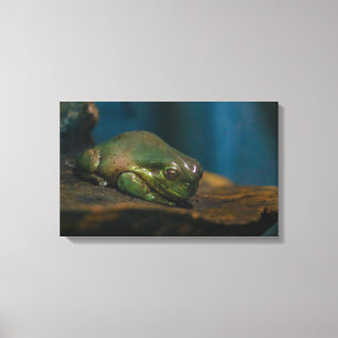 Nap Time Canvas Print