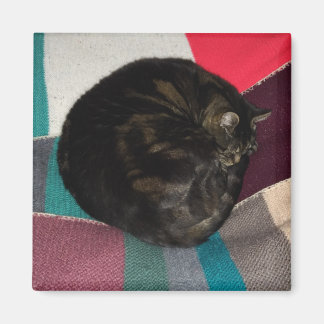 Nap Time Dave Square Magnet