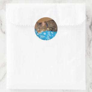 Nap Time For Indigo Classic Round Sticker
