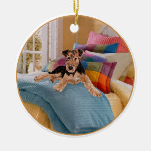 Nap Time for Puppy Ceramic Ornament