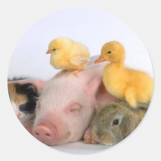 Nap Time for the Animals Classic Round Sticker