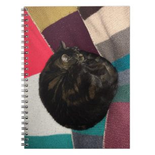 Nap Time Spiral Photo Notebook