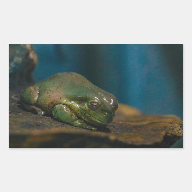 Nap Time Sticker (Front)