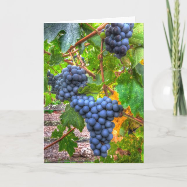 Napa Grapes Abstract Blank Note Card (Front)
