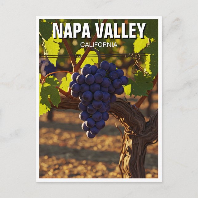 Napa Valley California Mustard Flowers Postcard (Front)