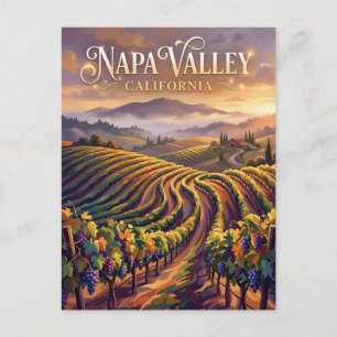 Napa Valley California Postcard