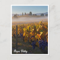 Napa Valley California Vinyard Winery