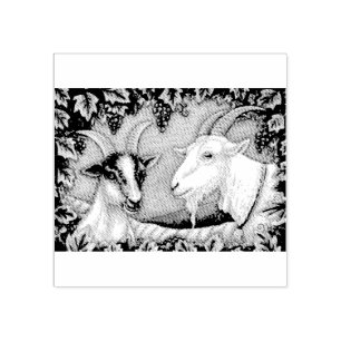 NAPA VALLEY KID & BILLY GOAT RUBBER STAMP *Custom
