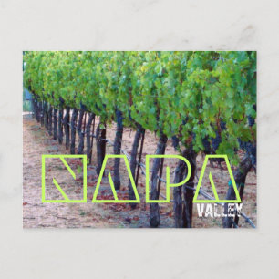 Napa Valley Postcard (wine)