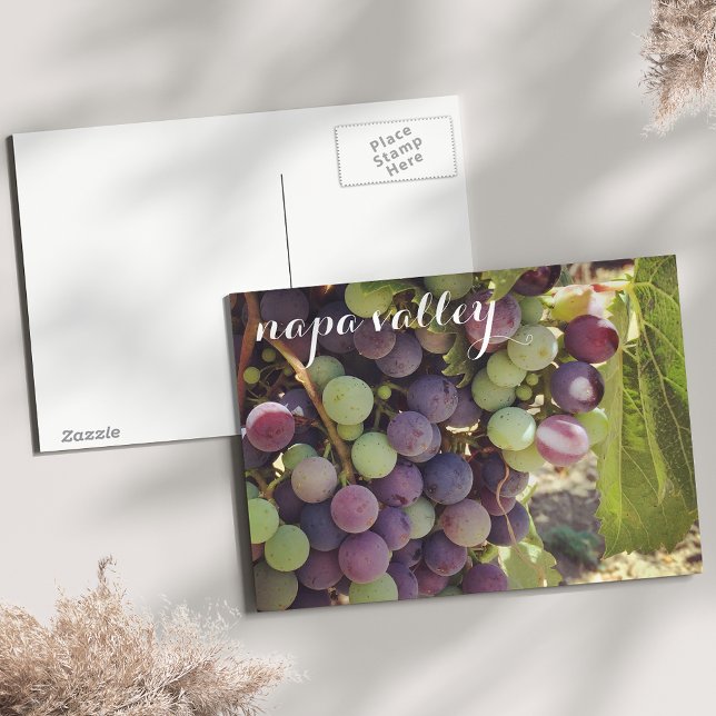 Napa Valley Vineyard Red & Green Grapes Postcard (Creator Uploaded)