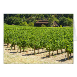 Napa Valley Winery Vineyard