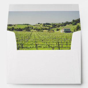 Napa Vineyard Photo Enveloppe Liner Adresse de ret