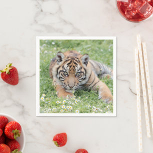 napkins Photo cat tiger  , animals 01. napkins