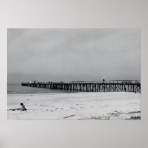 Naples Florida Pier Poster