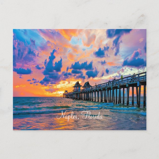 Naples, Floride Carte postale pittoresque (Devant)