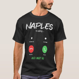 Naples Is Calling And I Must Go Flordia USA Travel T-Shirt