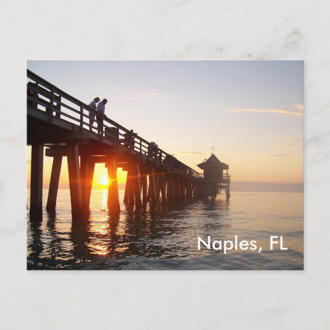 Naples Pier Postcard (Front)