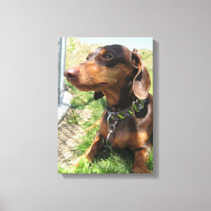 napoleon canvas print