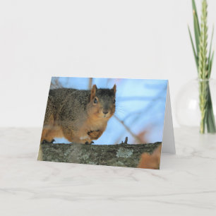 Napoleon Card