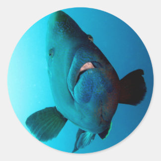 Napoleon Classic Round Sticker