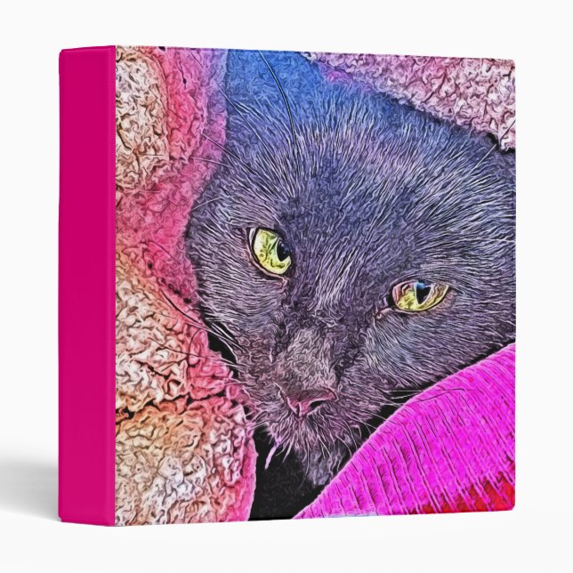 Napoleon in a blanket binder (Front/Spine)