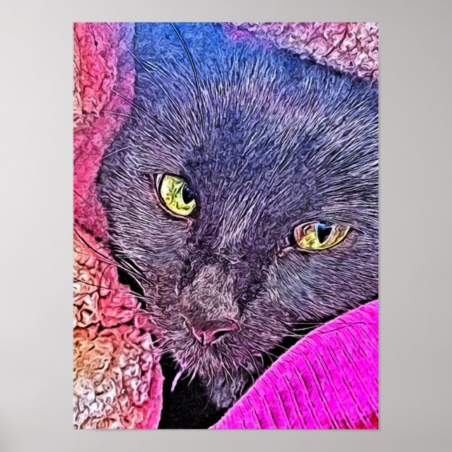 Napoleon in a blanket poster (Front)