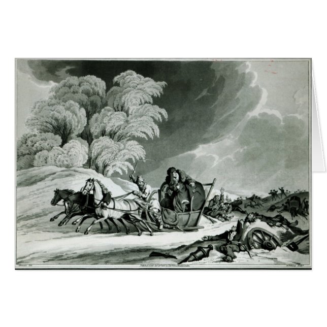 Napoleon in disguise (Front Horizontal)