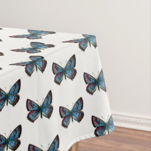 Nappe Arion glaucopsyche - Le Grand Papillon Bleu