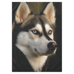 Nappe Beau Oreiller Husky Lrow