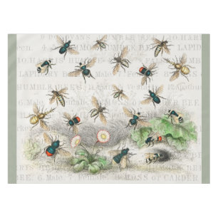 Nappe Bee Honey Travailleur Queen Bees Antique