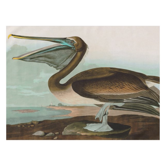 Nappe Brown Pelican Birds of America Audubon (Devant (Horizontal))