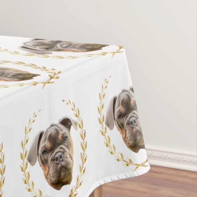 Nappe Bulldog (In Situ)