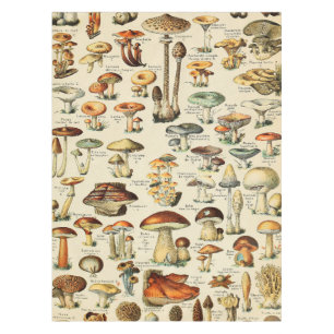 Nappe Collection de champignons   