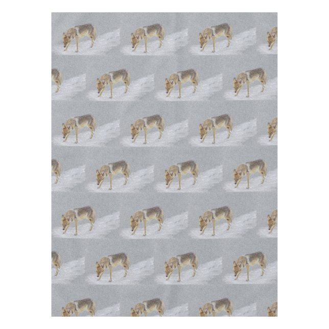 Nappe Coyote (Devant)