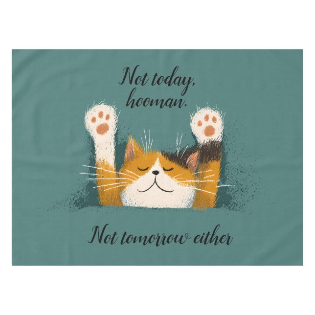 Nappe Cute Funny Cat Nap (Devant (Horizontal))