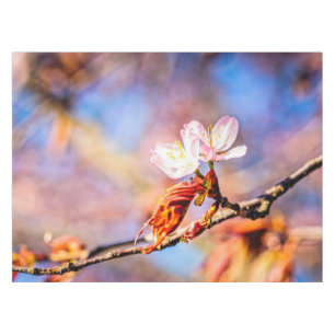 Nappe Deux Fleurs Extraordinaires Sakura. Rose, Arrière 