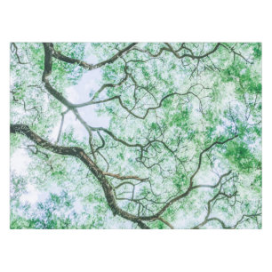 Nappe élégante pourtant éffrayante de feuille et