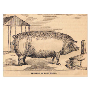 Nappe Éleveur du 19ème siècle de ` d'impression de porc