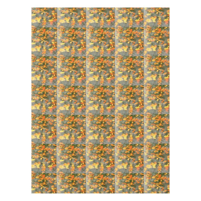 Nappe feuilles d'automne sur l'eau (Devant)