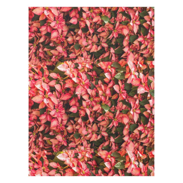 Nappe Fleur de Noël rouge Poinsettia (Devant)